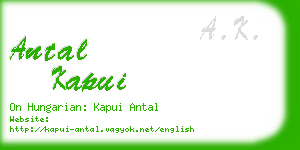 antal kapui business card